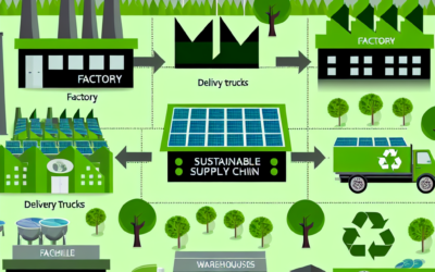 How to Build a Sustainable and Green Supply Chain